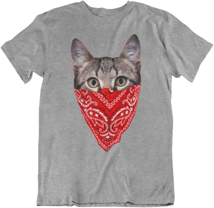 T-shirt Cat Bandidos - H – Image 4