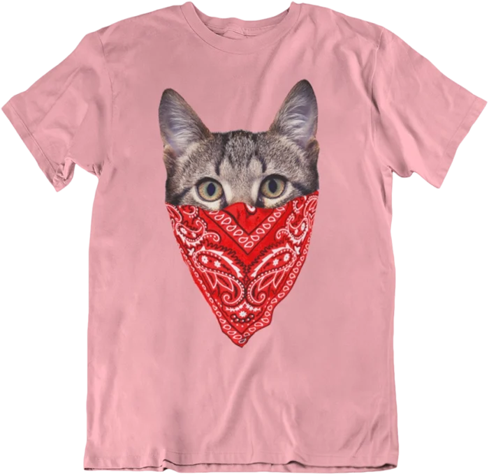 T-shirt Cat Bandidos - H – Image 3