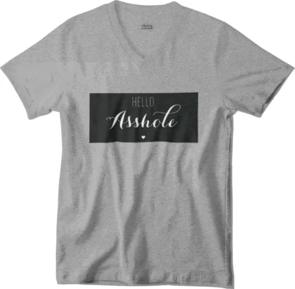 T-shirt Asshole gris col V